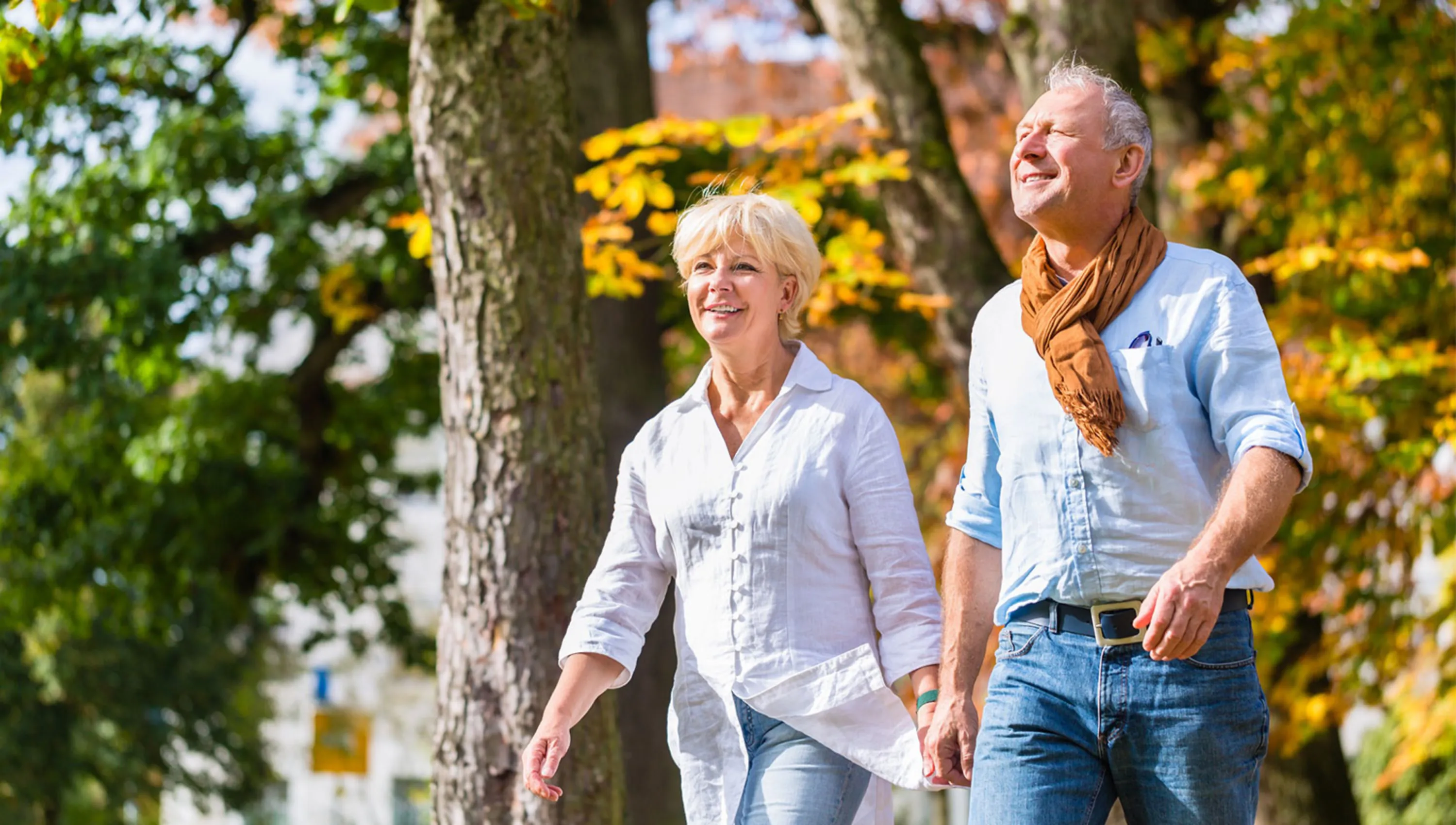 Kachel_Beratung_Lebensraumgestaltung