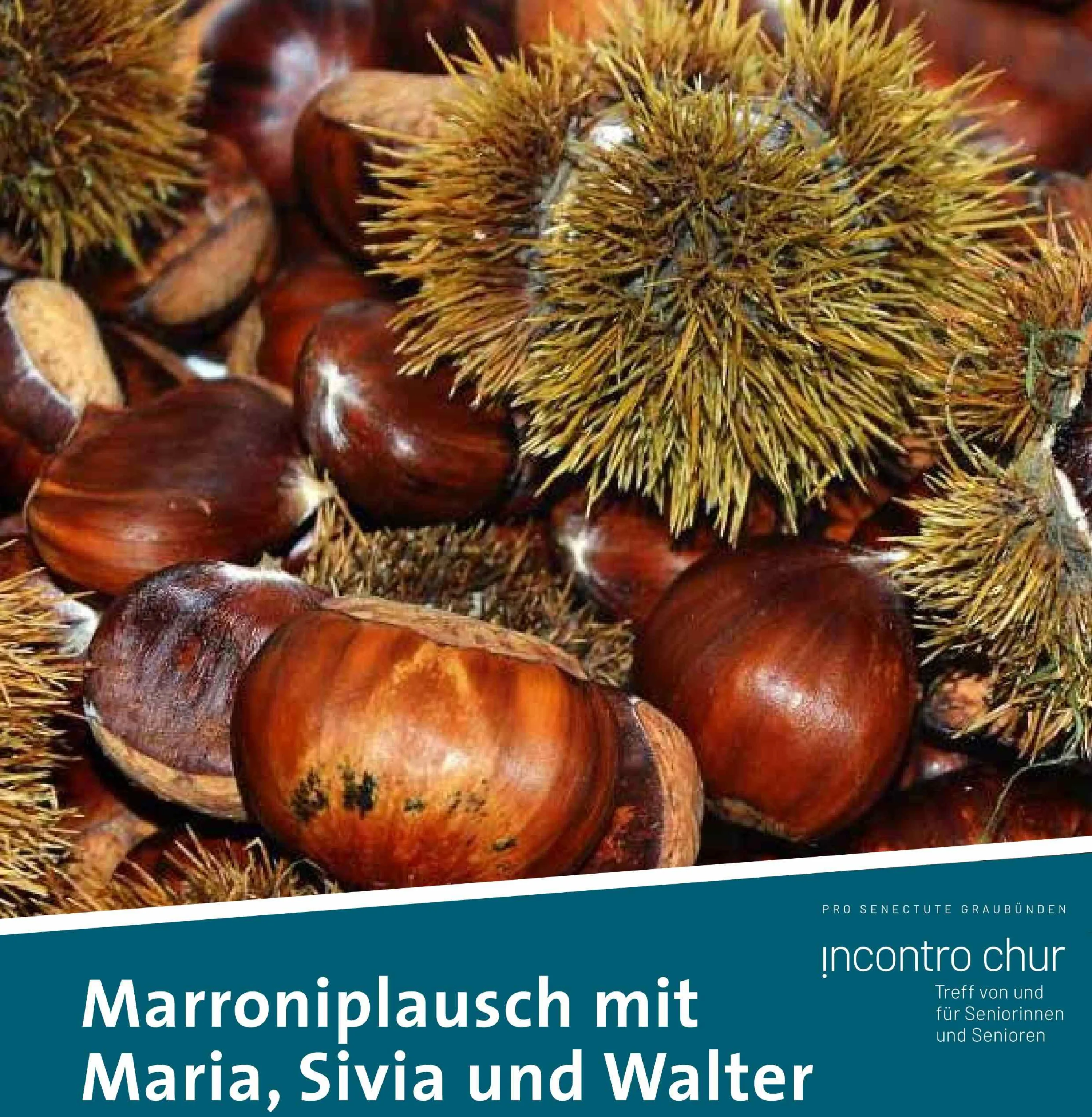 HP 251211 Marroniplausch klein klein