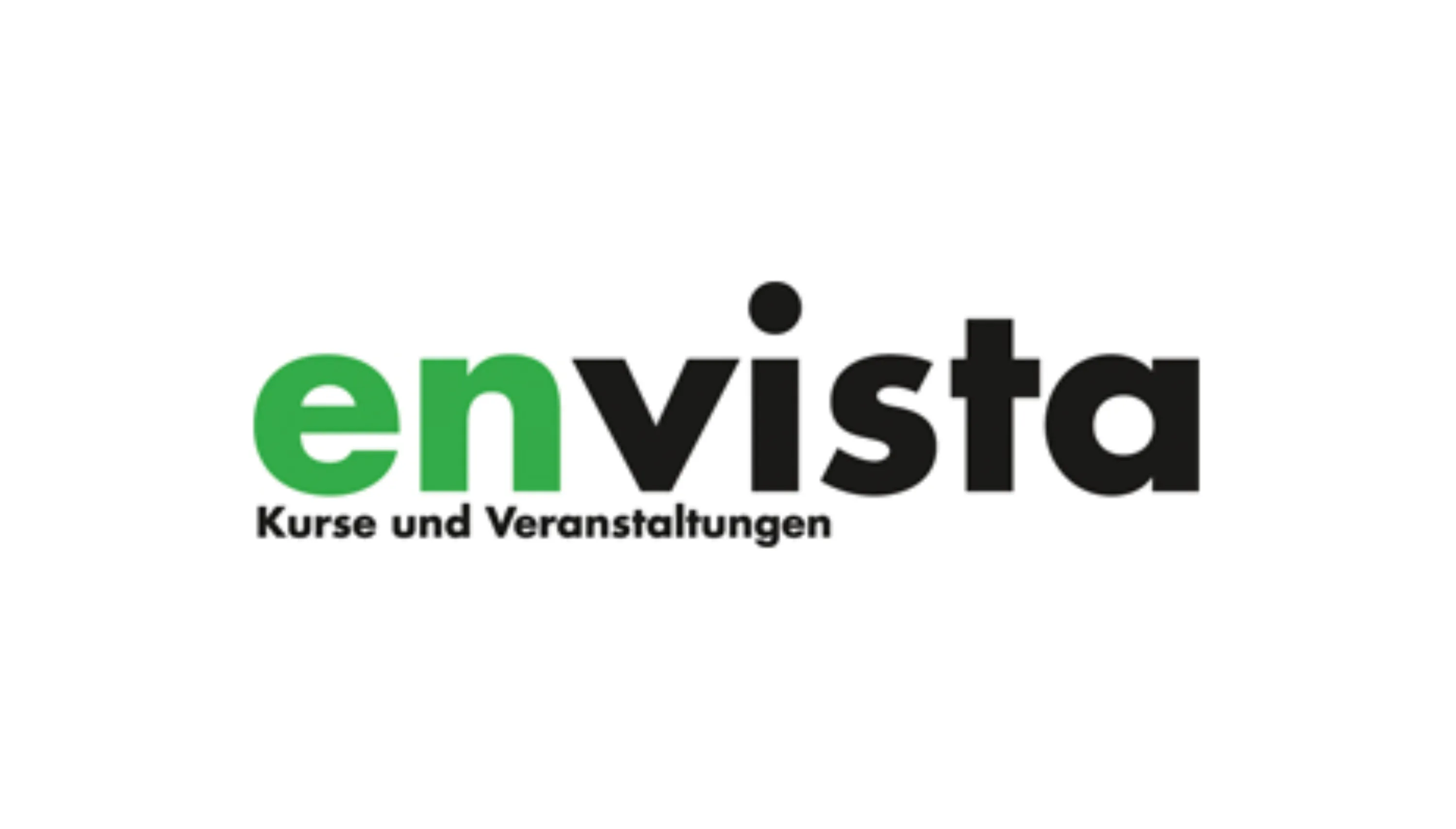 Logo envista klein
